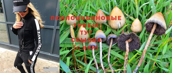 ПСИЛОЦИБИНОВЫЕ ГРИБЫ Зеленодольск