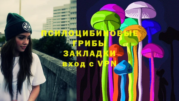 ПСИЛОЦИБИНОВЫЕ ГРИБЫ Зеленодольск