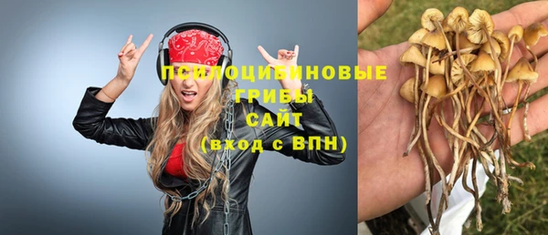 ПСИЛОЦИБИНОВЫЕ ГРИБЫ Зеленодольск
